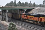 BNSF 8555